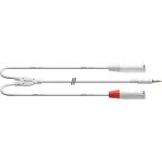 Cordial CFY 6 WMM-LONG-SNOW